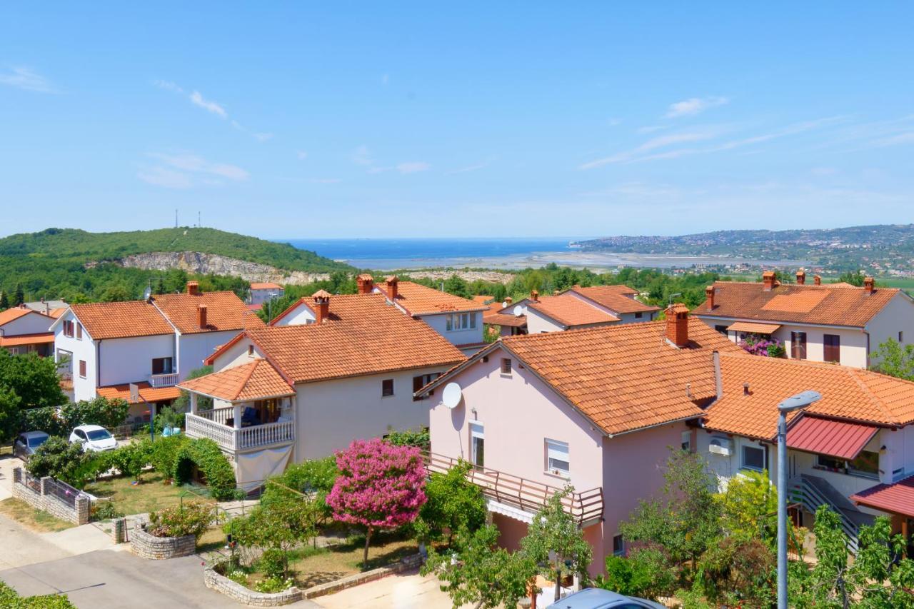 Apartments Belvedere By Rent Istria Plovanija Екстериор снимка
